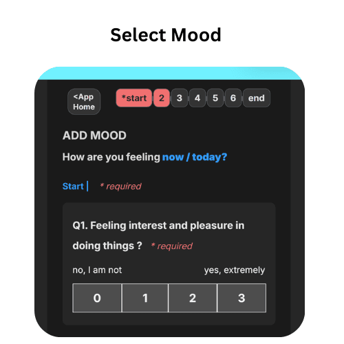 Screenshots of the dashboard project showing desktop version