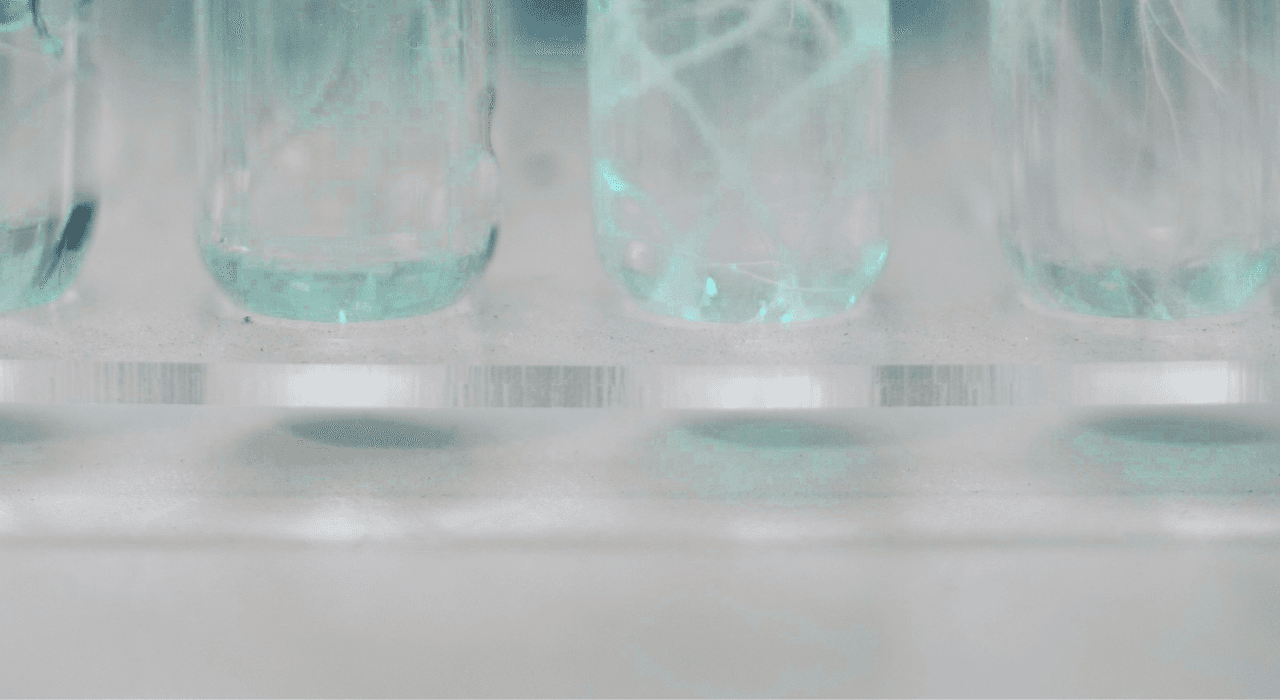 Science blog hero image