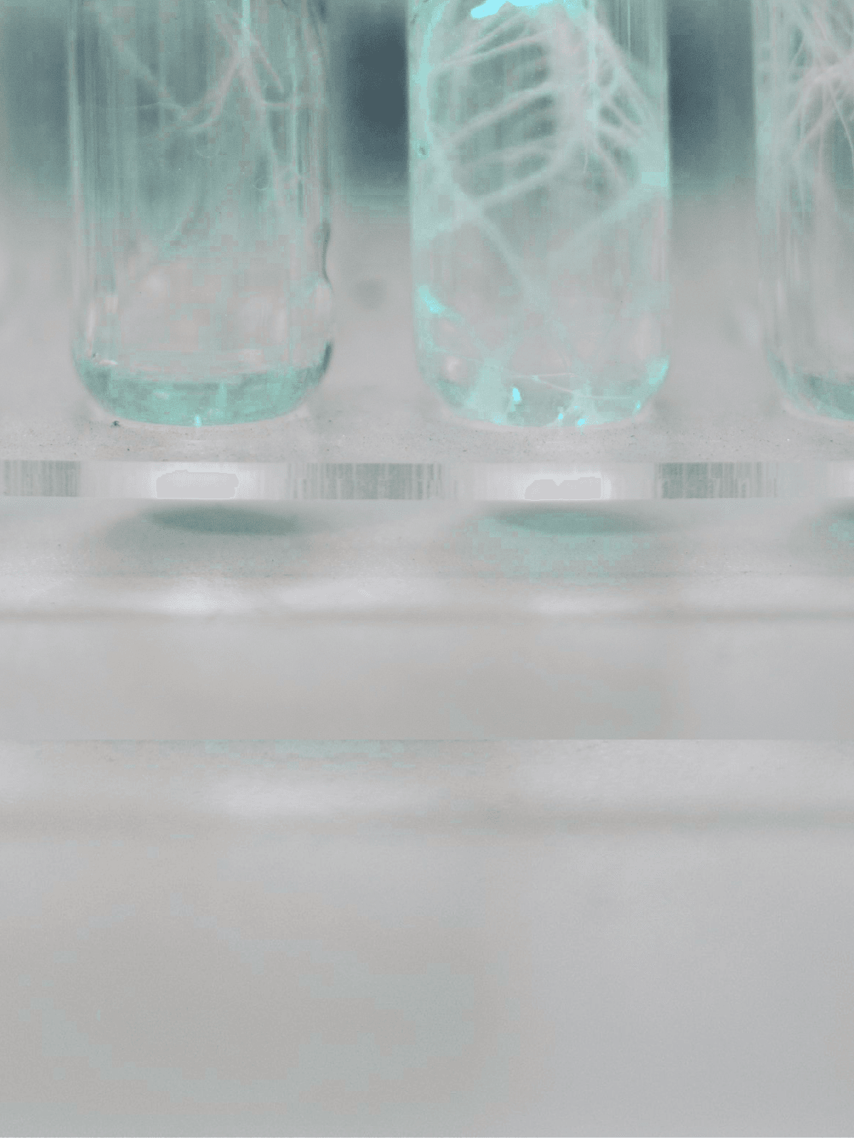 Science blog hero image